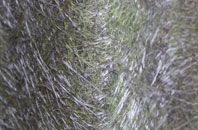 Kirton In Lindsey fibreglass roof work